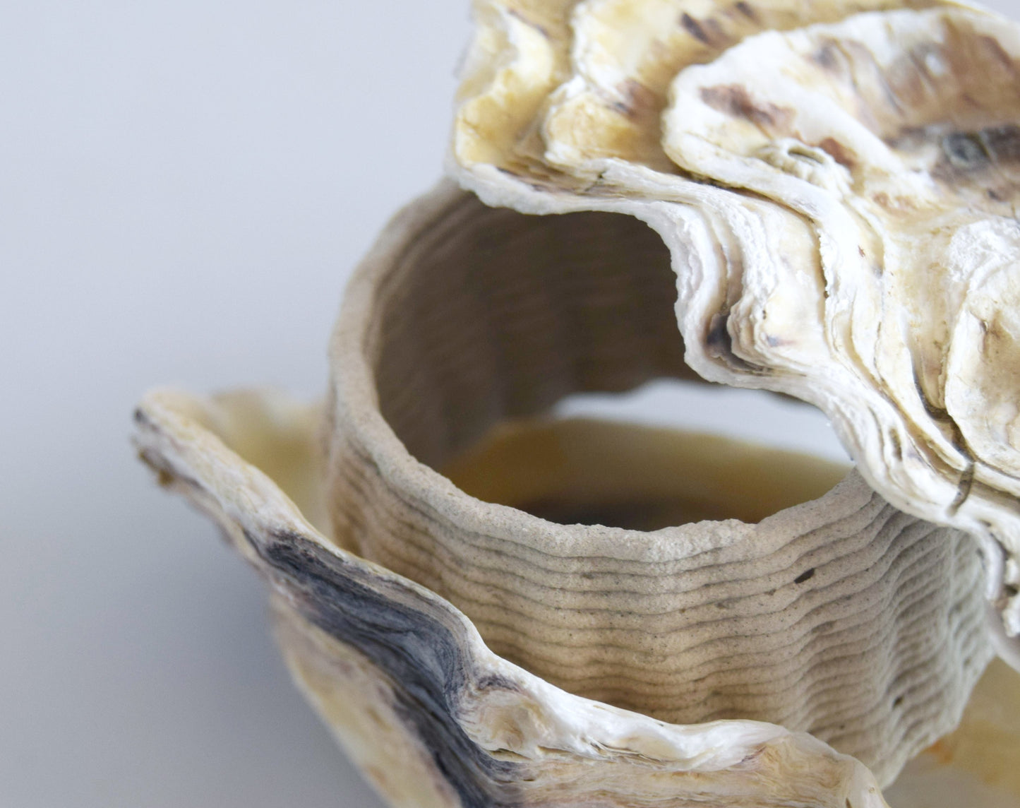 3D Printing with Biomaterials Experience