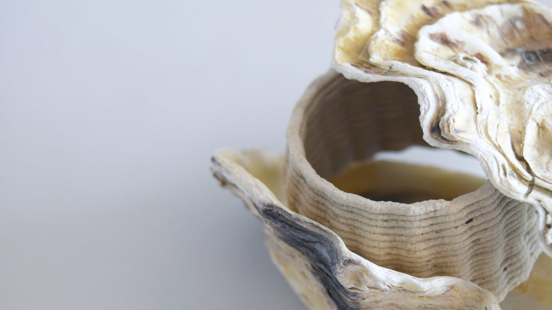 Oyster paste