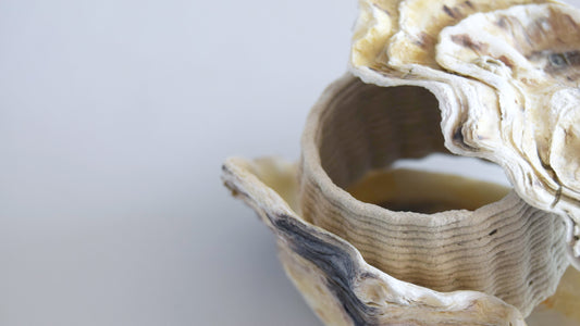 Oyster paste