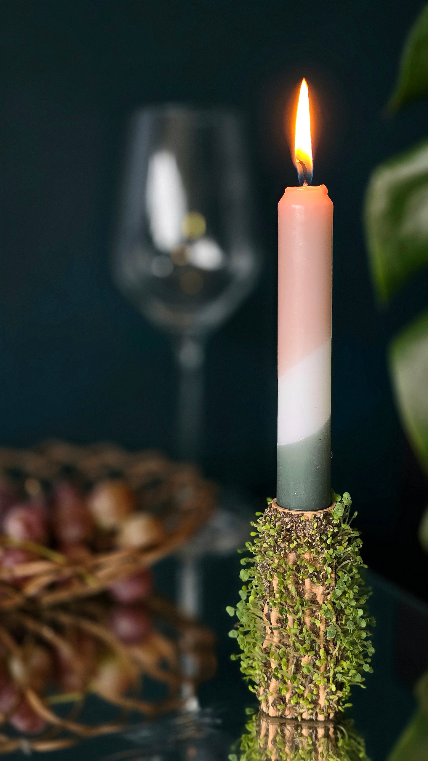 Growth Candle Kit