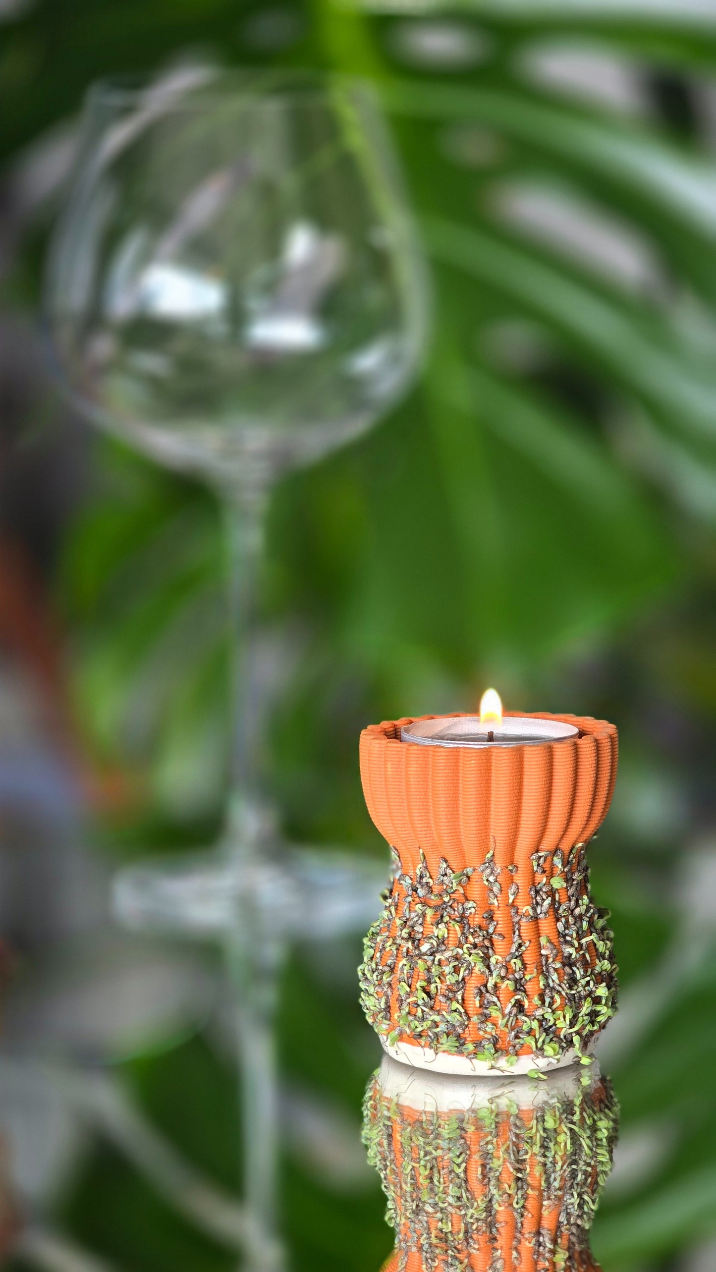 Growth Tealight Kit
