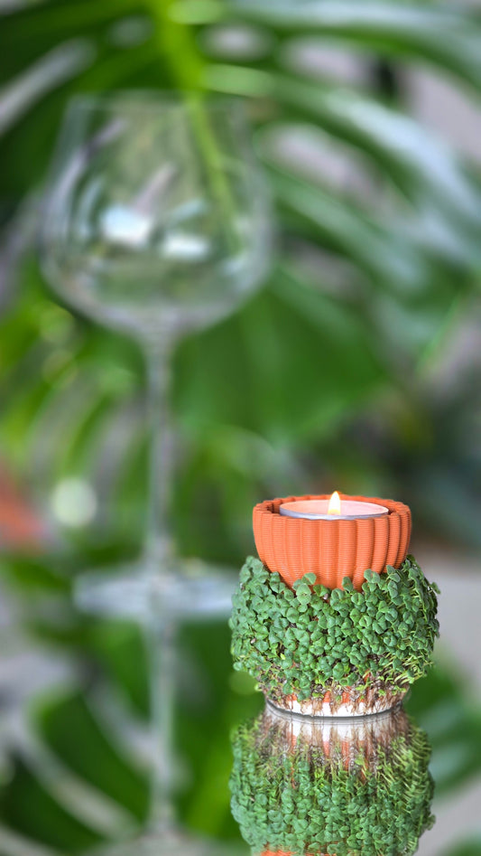 Growth Tealight Kit