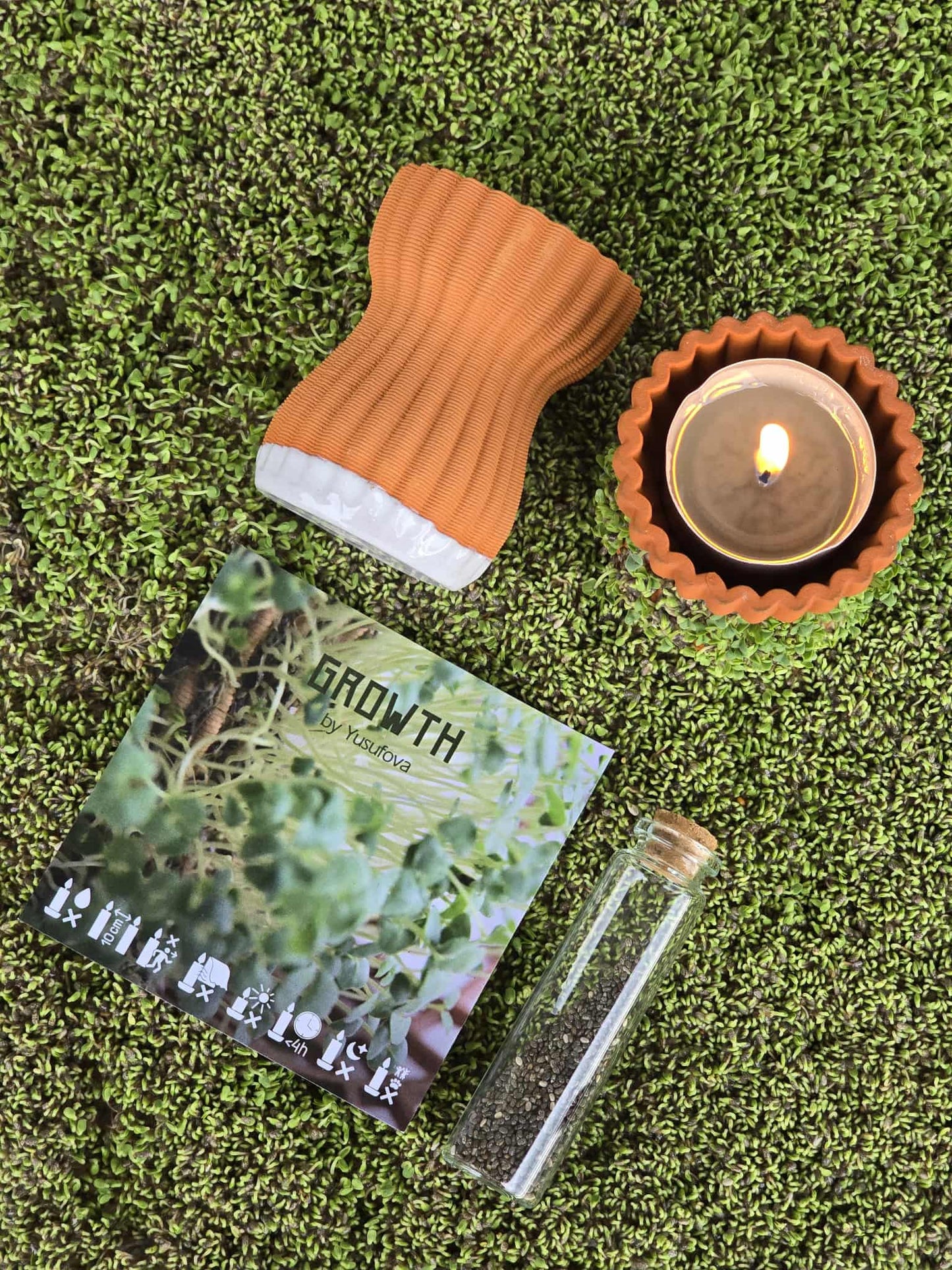 Growth Tealight Kit