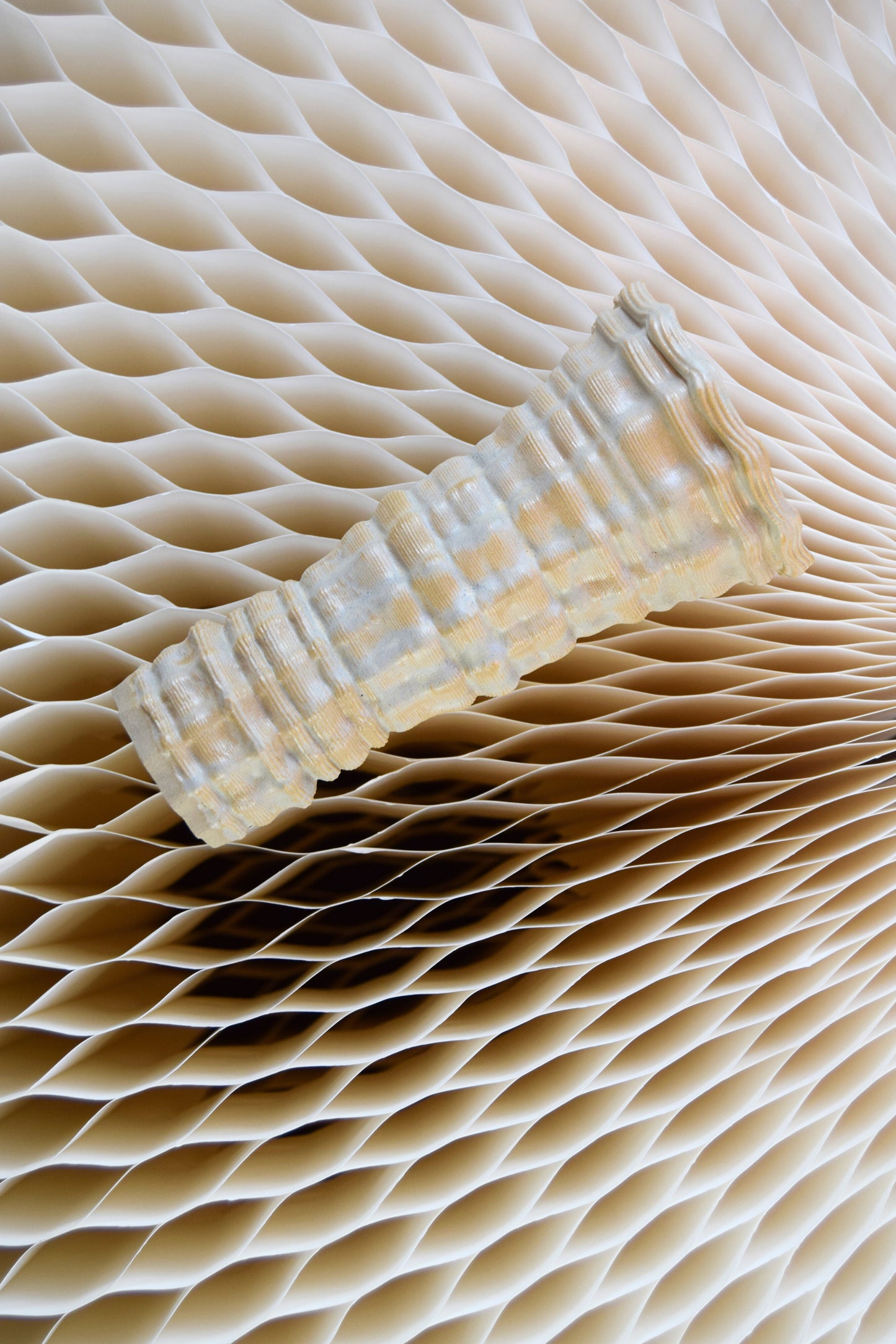 Climate Tealight Holder