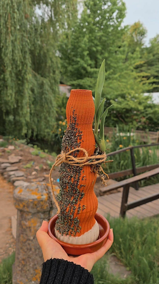 Growth Vase