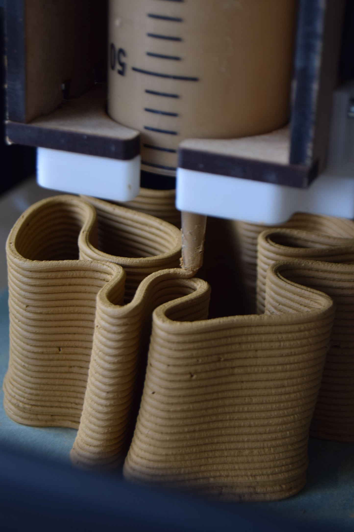 3D Printing with Biomaterials Experience